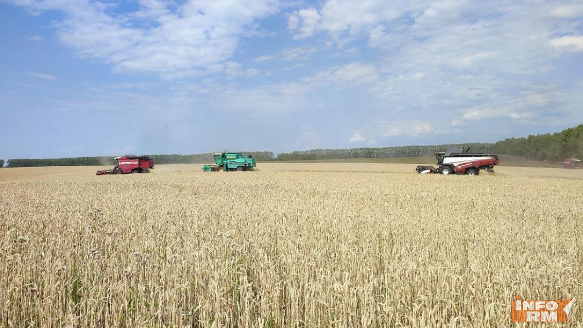 В Мордовии фиксируется рост инвестиций в сельское хозяйство