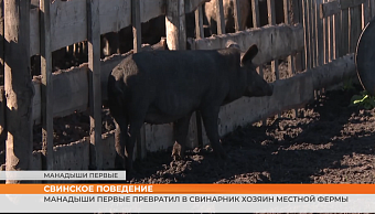 ▶️ Видеоновости | 28 сентября 2026 года